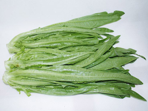 油麦菜