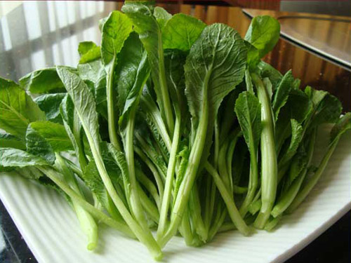 东莞蔬菜批发